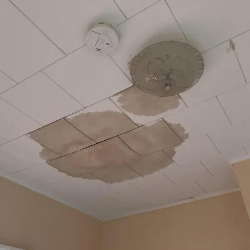 Ceiling Water Damage Repair in Cedar County, IA