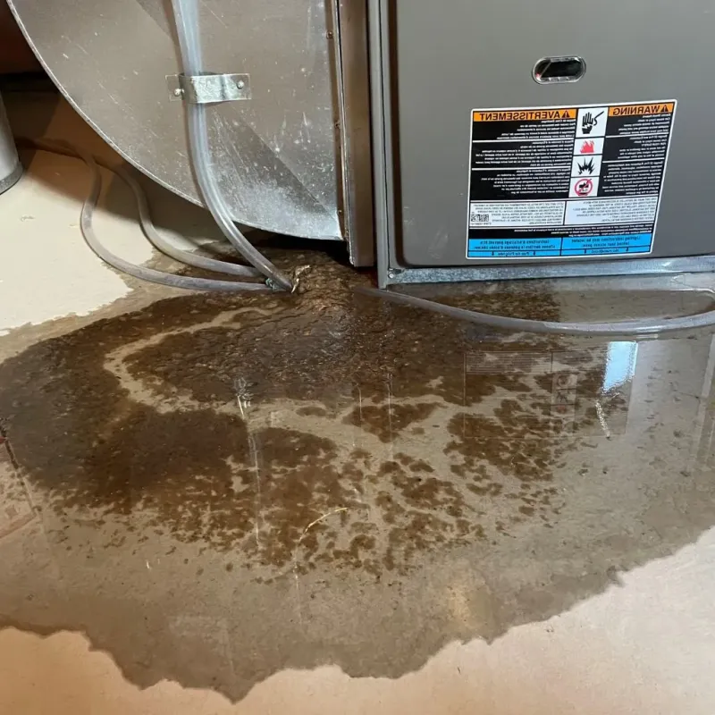 Pipe Burst and Leak Restoration in Cedar County, IA