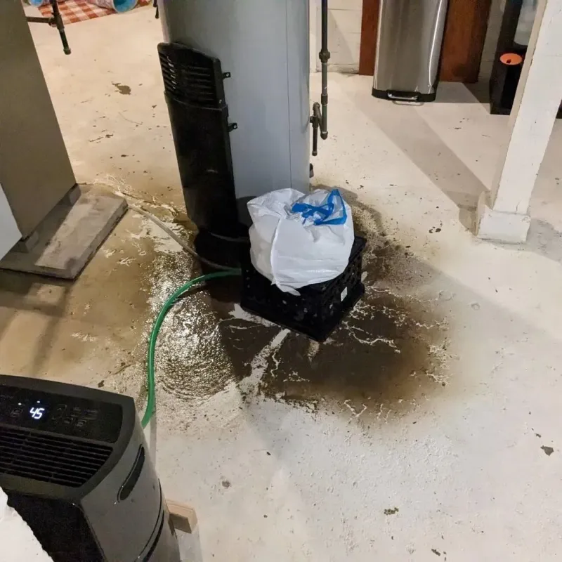 Sewage Backup Cleanup Service in Cedar County, IA